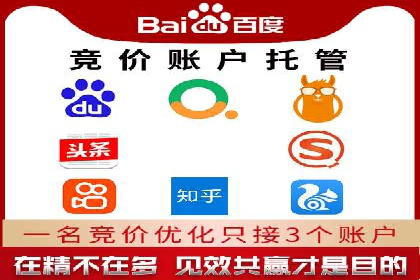 行业专家解析SEM托管代运营的成功要素